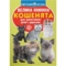 Большая книга Кристал Бук Котята (F00019383) - Pampik