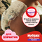 Набір підгузків-трусиків для дівчаток Huggies Little Movers Pants 5 (12-17 кг), 102 шт. - Pampik - 9