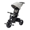 Дитячий триколісний велосипед Bebe Confort Windy Tinted Grey (1144077210) - Pampik