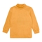 Водолазка утеплена Ляля 3ЛН133 164 Помаранчевий (771862.9174915) - Pampik