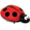 Нічний світильник DreamBaby Ladybug, червоний з чорним (F689) - Pampik