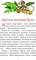 В Країні Сонячних Зайчиків - Нестайко Всеволод (978-966-10-4615-2) - Pampik - 5
