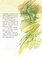За мотивами народних казок. Руда коза та дід Улас - Попович Леся Андріївна (978-966-10-2470-9) - Pampik - 4