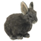 М'яка іграшка Hansa Кролик карликовий сірий, 18 см (8129) - Pampik