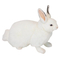 Мягкая игрушка Hansa Снежный кролик, 34 см (63050) - Pampik