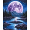 Картина по номерам ArtCraft Ночная магия 40х50 см (11059-AC) - Pampik
