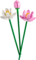 Конструктор LEGO Botanicals Квіти лотоса 220 деталей (40647) - Pampik - 4