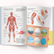 Книжка з наліпками. Тіло людини (F00027785) - Pampik - 2