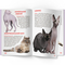 Світ навколо нас. Велика книжка. Кішки (F00013018) - Pampik - 3