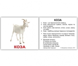 Карточки Домана Вундеркинд с пеленок Домашние животные, с фактами, 20 шт., укр. язык (2100064091544) - Pampik - 6