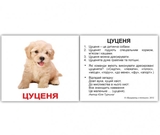 Карточки Домана Вундеркинд с пеленок Домашние животные, с фактами, 20 шт., укр. язык (2100064091544) - Pampik - 5