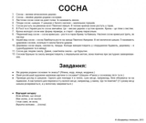 Картки Домана Вундеркінд з пелюшок Дерева з фактами (українська) - Pampik - 4
