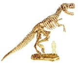 Набір Easy Science для розкопок Історія тиранозавра - Pampik - 3