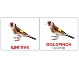 Картки Домана Вундеркінд з пелюшок Птахи/Birds, 8х10 см, 40 шт., укр., англ. (2100064455315) - Pampik - 3