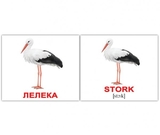 Картки Домана Вундеркінд з пелюшок Птахи/Birds, 8х10 см, 40 шт., укр., англ. (2100064455315) - Pampik