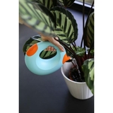 Лейка Quut Cana, блакитний з помаранчевим, 1 л (170570) - Pampik - 2