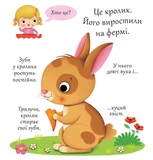 Книжка-картонка Хто це? Кролики - Бомон Емілія, Беліно Наталя - Pampik - 2