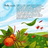 Пізнаю світ. Павуки - Алгара А. - Pampik - 4