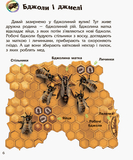 Енциклопедія дошкільника. Комахи - Каспарова Ю.В. - Pampik - 6