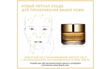 Дневной крем L’Oréal Paris Skin Expert Роскошь питания, для нормального и комбинированного типа кожи, 50 мл - Pampik - 7