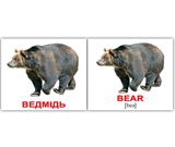 Подарунковий набір Вундеркінд з пелюшок Англо-українська валізочка (10 мінінаборів) - Pampik - 4