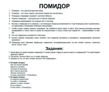 Мегаваліза Вундеркінд з пелюшок, 23 набори (російська) і книга в подарунок - Pampik - 4