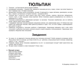 Набір ламінованих карток Домана Вундеркінд з пелюшок Квіти, укр. мова (2100064099991) - Pampik - 4