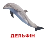 Набір ламінованих карток Домана Вундеркінд з пелюшок Жителі водойм, укр. мова (2100064241512) - Pampik - 2