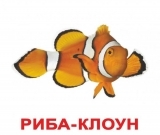 Набір ламінованих карток Домана Вундеркінд з пелюшок Жителі водойм, укр. мова (2100064241512) - Pampik