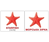 Мини-карточки Домана Вундеркинд с пеленок Водяні тварини/Water animals, украинско-английский (2100065155313) - Pampik - 3