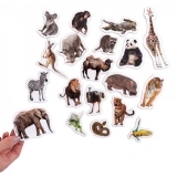 Набор магнитов Magdum Зоопарк Фото (ML4031-02 EN) - Pampik - 2