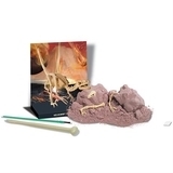 Игровой набор 4M Скелет велоцираптора (00-13234) - Pampik - 2