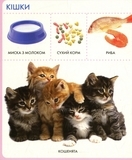 Животные. Моя первая книга - Pampik - 4