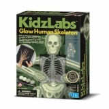 Ігровий набір 4M світиться скелет людини (00-03375) - Pampik