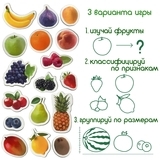 Магнитный набор Magdum Magnetic set Fruits and berries (ML4031-11 EN) - Pampik - 4
