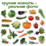 Магнітний набір Magdum Magnetic set Vegetables (ML4031-12 EN) - Pampik - 2