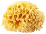 Натуральная губка для ванны OK Baby Silk Fine sea sponge, р.16, желтый (38481600) - Pampik