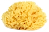 Натуральная губка для ванны OK Baby Silk Fine sea sponge, р.14, желтый (38481400) - Pampik