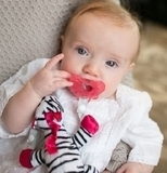 Цельная пустышка с держателем-игрушкой Dr. Brown's Зебра, 0-12 мес., розовый (AC156-P6) - Pampik - 4