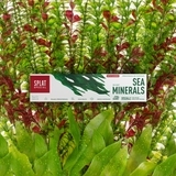 Зубна паста Splat Special Sea Minerals, 75 мл - Pampik - 7