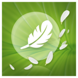 Ежедневные прокладки Naturella Мягкость Календулы Plus, 50 шт. - Pampik - 5