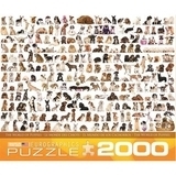 Пазл Eurographics Світ собак, 2000. елементів (8220-0581) - Pampik