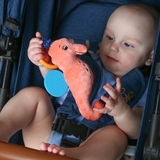 Вібропідвіска Масік Морський коник, рожевий (МС 110604-01) - Pampik - 6