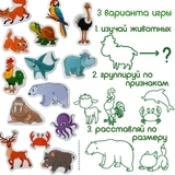 Набор магнитов Magdum Животные (ML4031-16 EN) - Pampik - 3