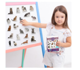 Магнітний набір Magdum Magnetic set Breeds of cats (ML4031-13 EN) - Pampik - 7