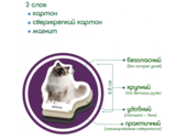 Магнітний набір Magdum Magnetic set Breeds of cats (ML4031-13 EN) - Pampik - 5