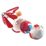 Набір для досліджень Edu-Toys Модель очного яблука збірна, 14 см (SK007) - Pampik - 3