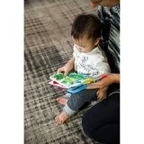 Книжка-гризун Baby Einstein Teather Book (11794) - Pampik - 6