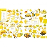 500 перших слів Вивчаємо кольори розвиваємо увагу - Жученко М.С. - Pampik - 3