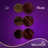 Стійка крем-фарба для волосся Wellaton Божоле 4/6 - Pampik - 4